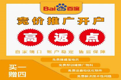 大型企业SEM外包实战案例